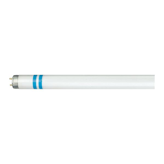 Philips MASTER TL-D Secura Loisteputki G13 Kylmä valkoinen, 3200 lm, 36 W