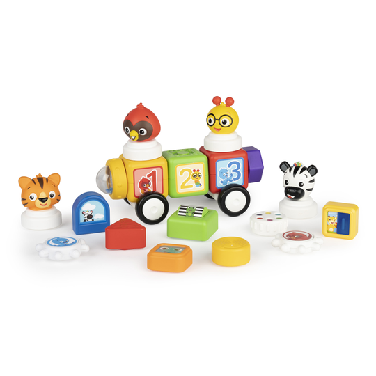 Baby Einstein - Click&Create™ Magnetic Activity Blocks (13067)