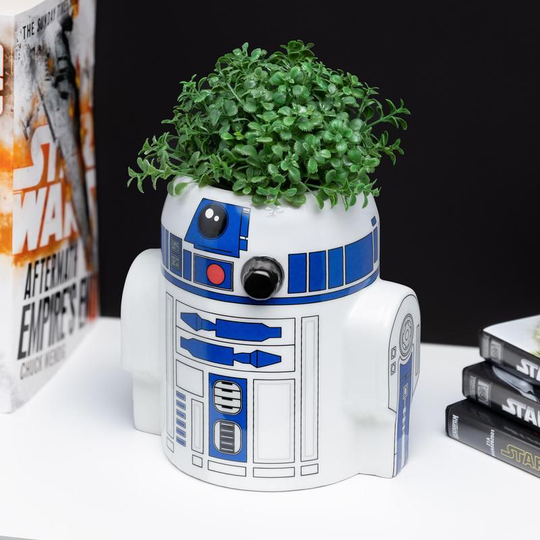 R2D2 Pen and Plant Pot
