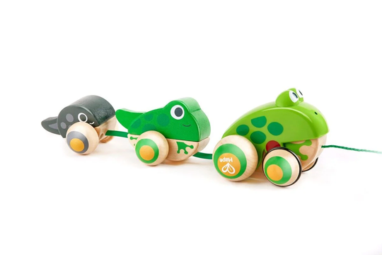 Hape - Pull Along Frog Family (87-0365)