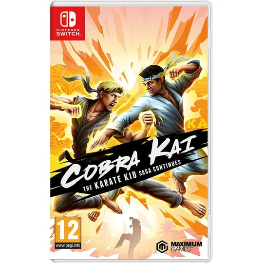 Cobra Kai The Karate Kid Saga