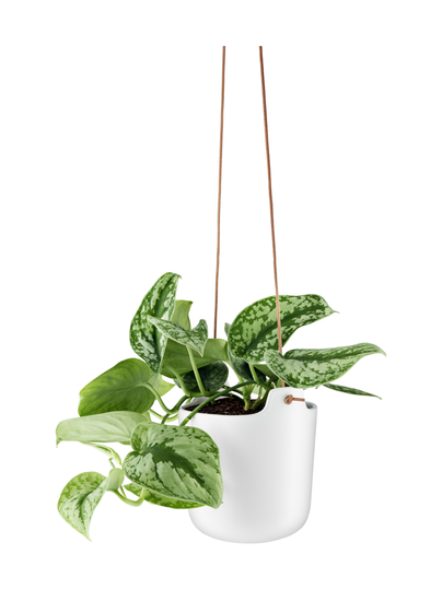 Amppeli ø 15 cm chalk white