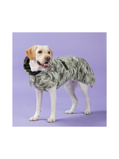 Visibility winter jacket camo for dogs