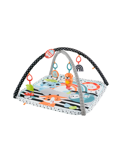 Fisher-price leikkimatto