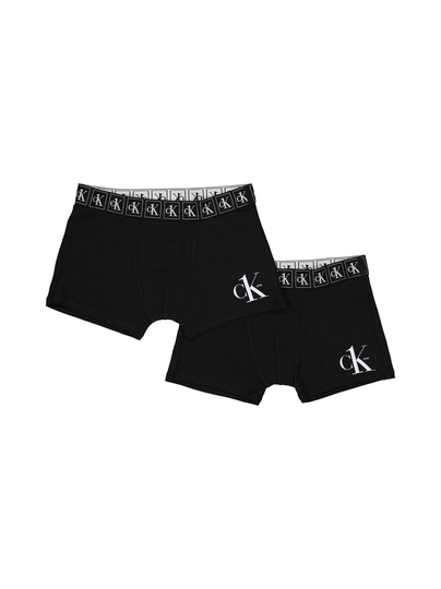 2pk trunks calvin klein underwear