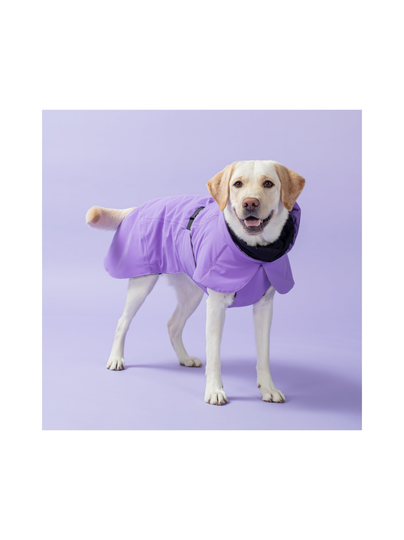 Visibility winter jacket lilac for dogs