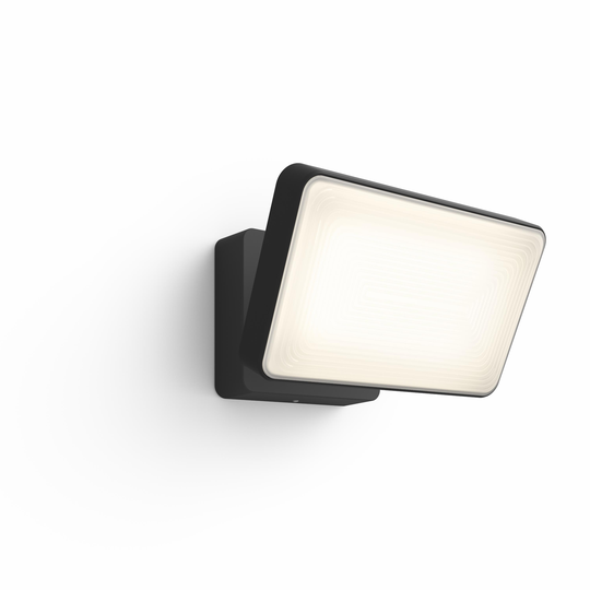 Philips Hue - Discover Black Outdoor - White&Color Ambiance