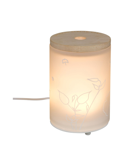 Electric aroma energy mist -diffuuseri ja tuoksuneste