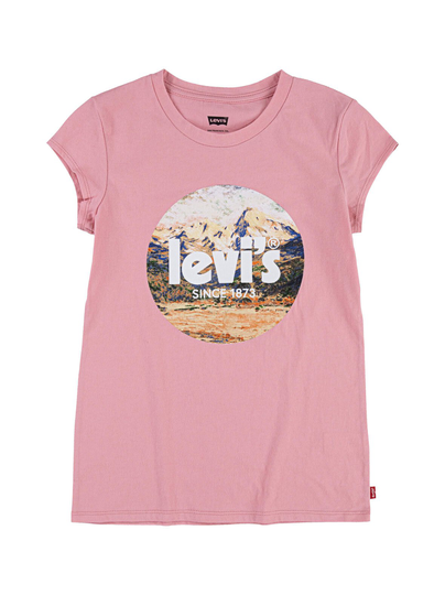 Poster logo mountain -t-paita