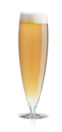 Eva Solo - Long Beer Glass Set of 6 (541128)